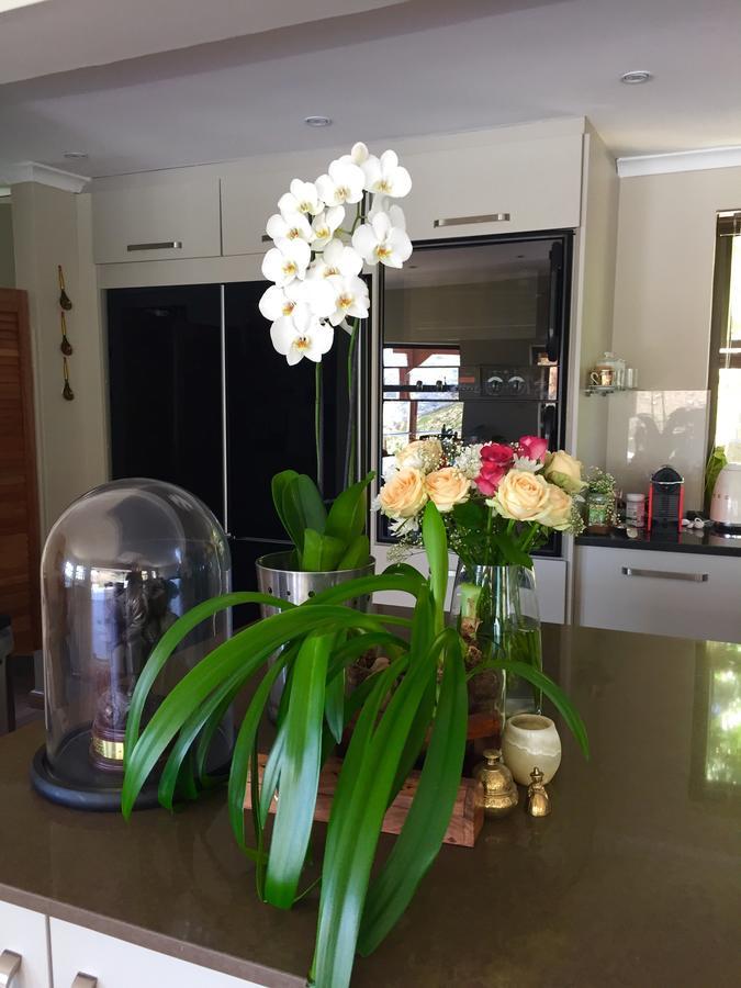 케이프타운 Protea Point B&B 외부 사진